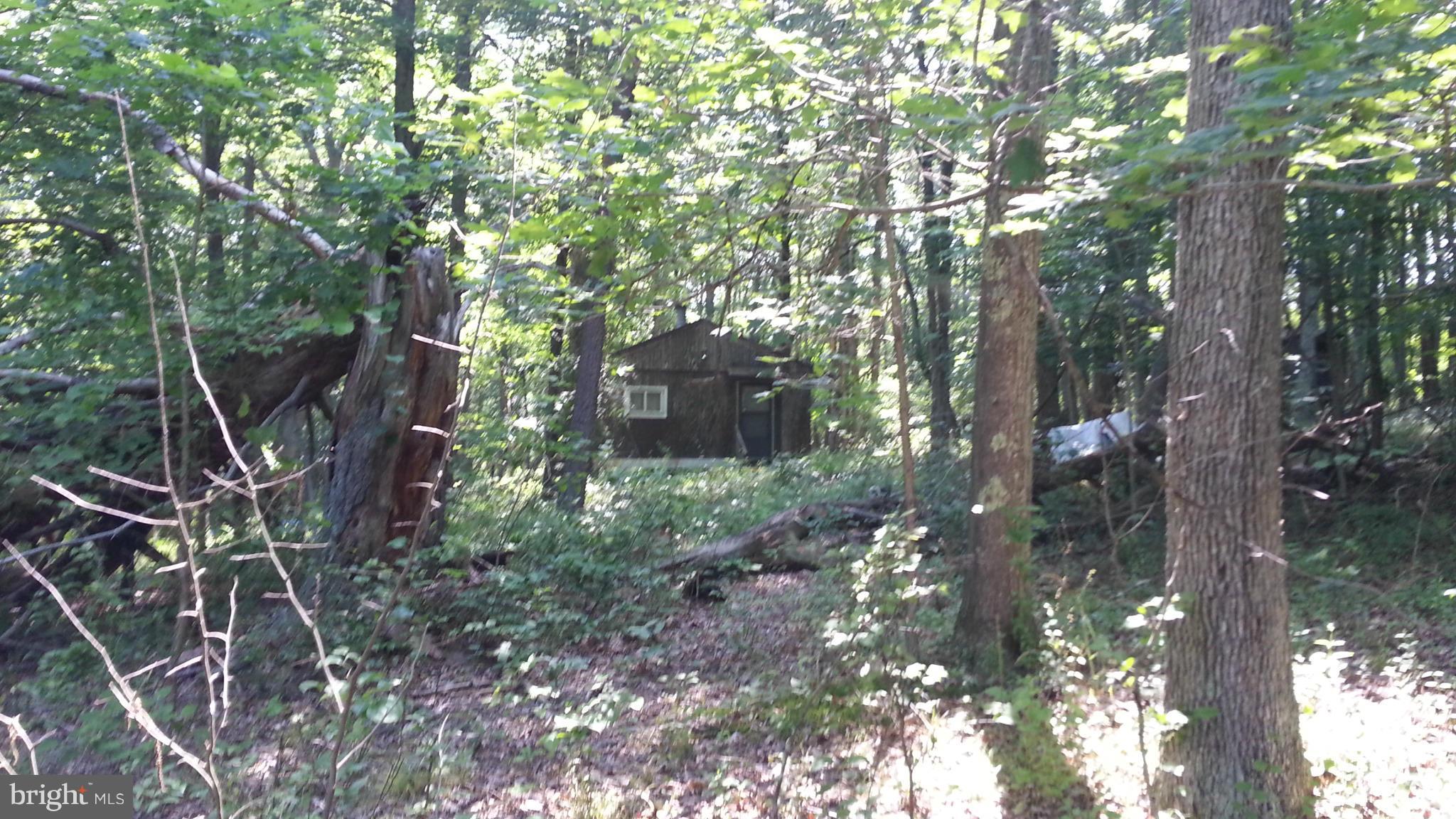 0 Virginia Line-Potomac Road Berkeley Springs, WV 25411 - Photo 15 of 29 Exterior (General)