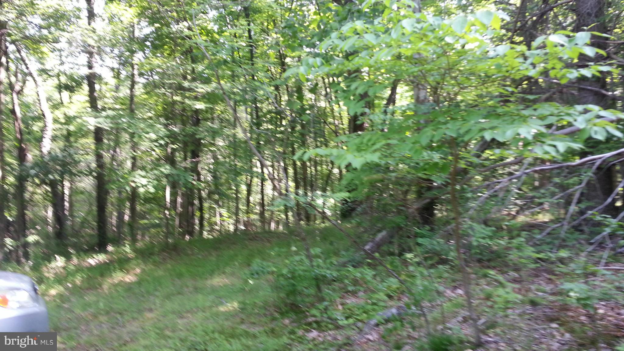 0 Virginia Line-Potomac Road Berkeley Springs, WV 25411 - Photo 19 of 29 Exterior (General)