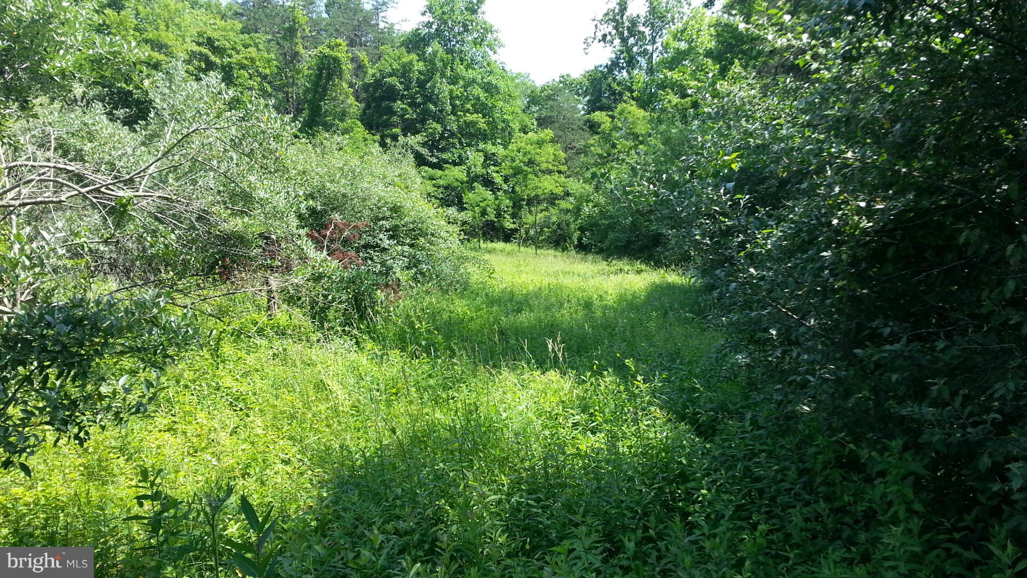 0 Virginia Line-Potomac Road Berkeley Springs, WV 25411 - Photo 6 of 29 Exterior (Front)