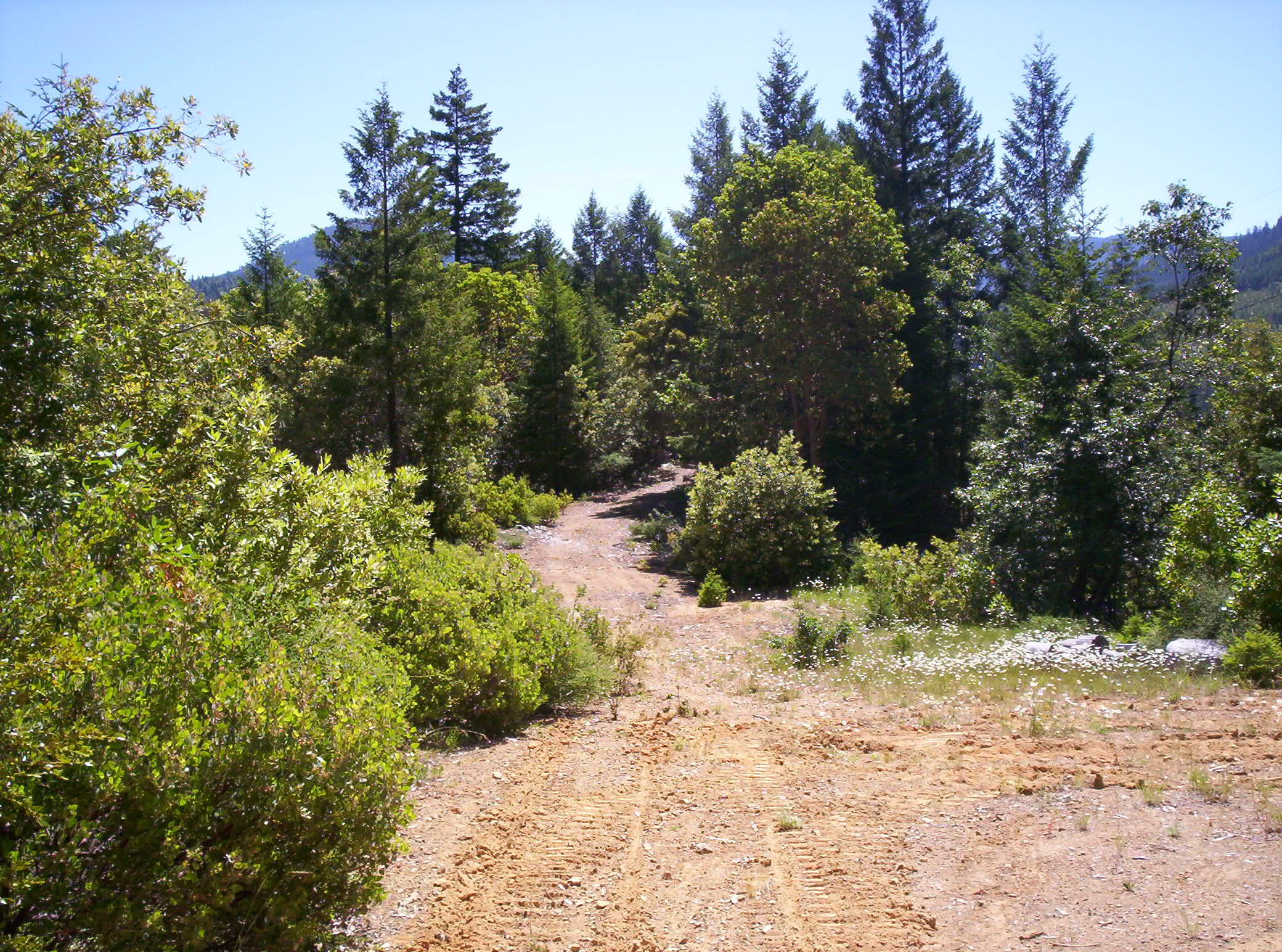 French Peak 039