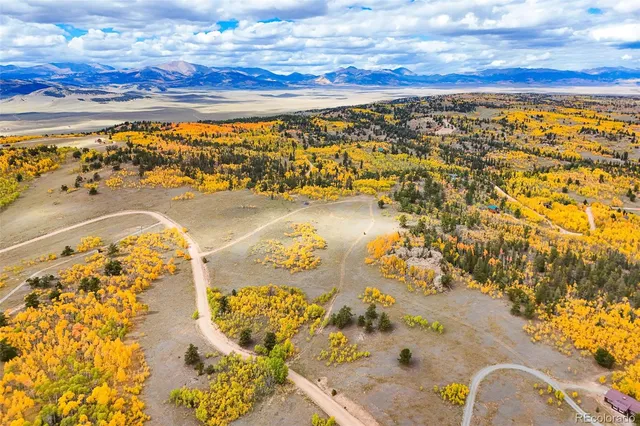 a view of a city with lots of trees