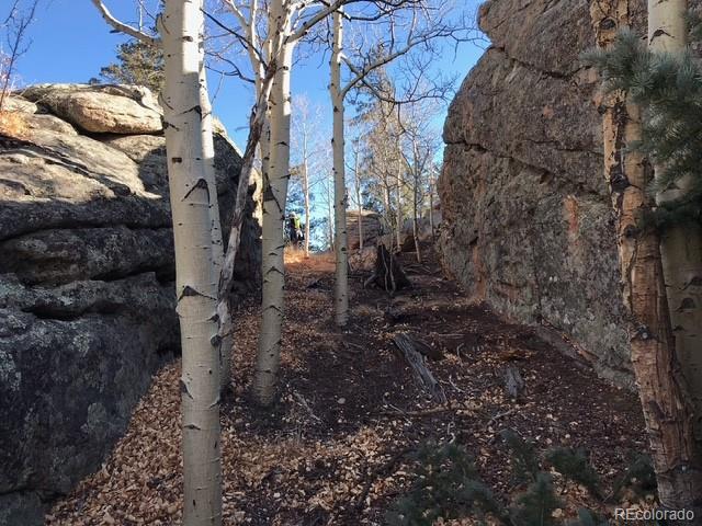 4019 Buffalo Ridge Road Como, CO 80432 - Photo 23 of 46 a backyard of a house