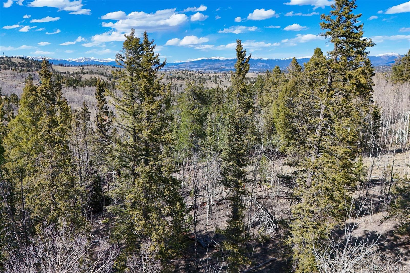 4019 Buffalo Ridge Road Como, CO 80432 - Photo 27 of 46 a view of a city with lush green forest