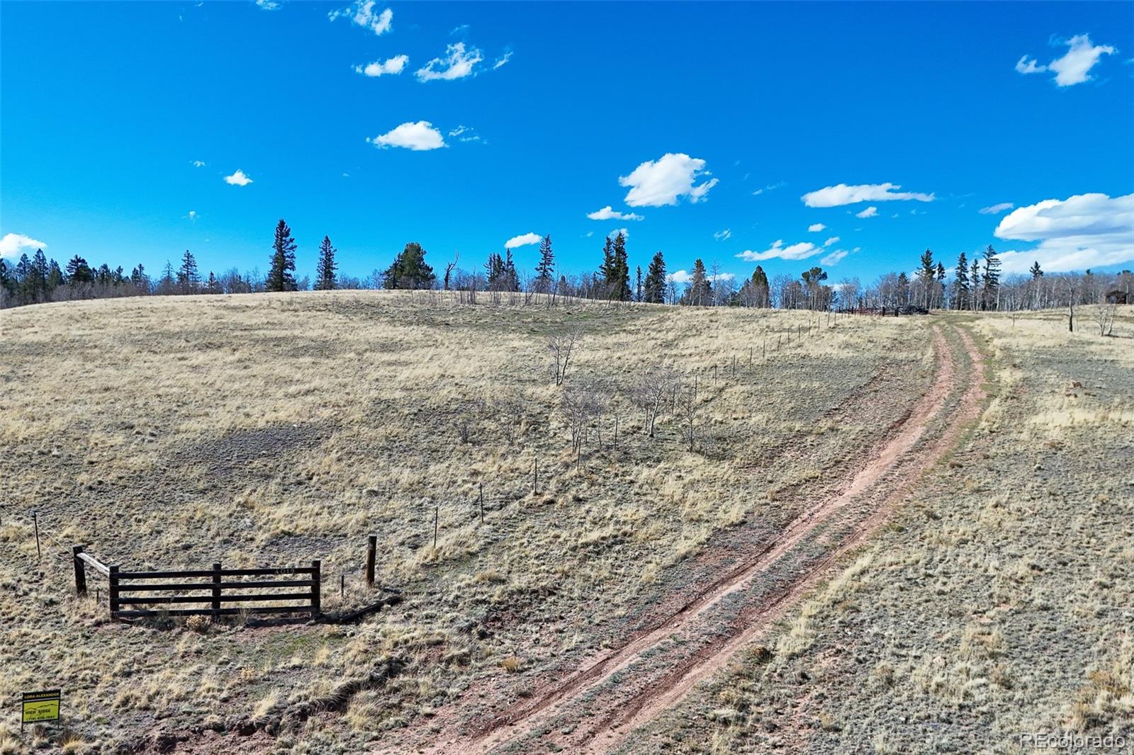 4019 Buffalo Ridge Road Como, CO 80432 - Photo 43 of 46 a view of a backyard of the house