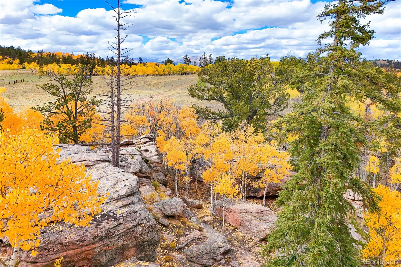 4019 Buffalo Ridge Road Como, CO 80432 - Photo 6 of 46 a view of a yard with wooden fence