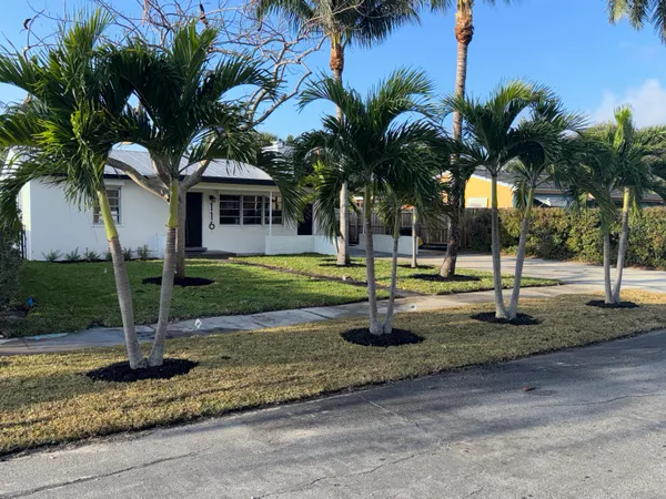 a view of a backyard