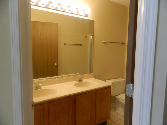 881 Brompton Court Carol Stream, IL 60188 - Photo 14 of 19 a bathroom with a sink and a mirror