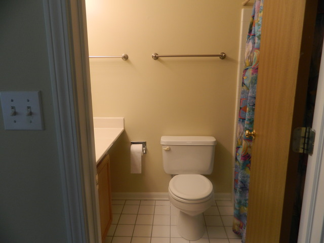 881 Brompton Court Carol Stream, IL 60188 - Photo 16 of 19 a bathroom with a toilet and a shower