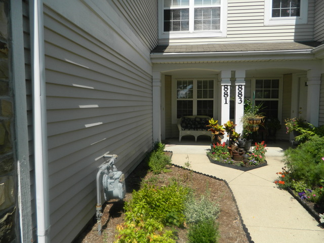 881 Brompton Court Carol Stream, IL 60188 - Photo 2 of 19 a view of a house with potted plants