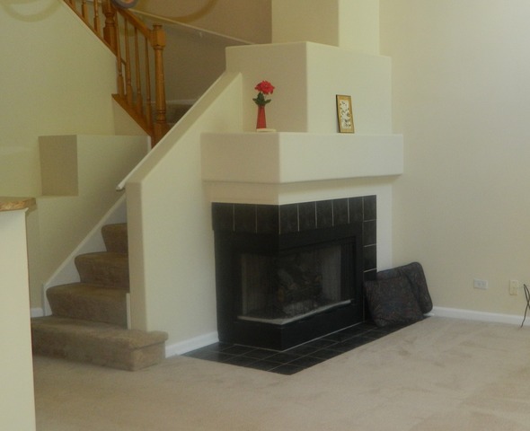 881 Brompton Court Carol Stream, IL 60188 - Photo 4 of 19