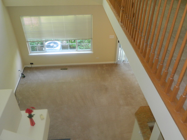881 Brompton Court Carol Stream, IL 60188 - Photo 9 of 19