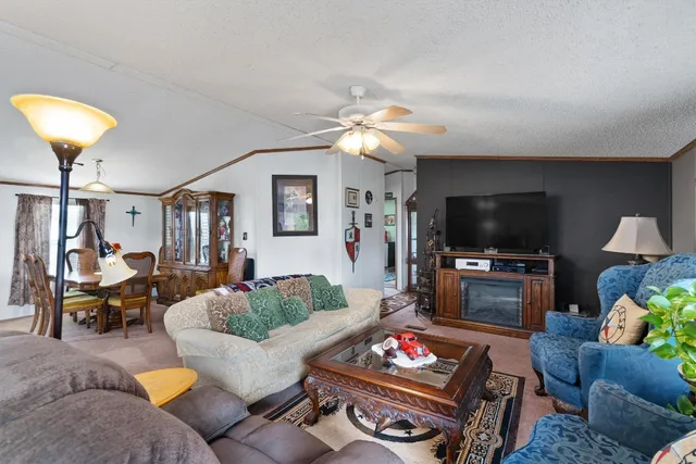 a living room with furniture and a lamp