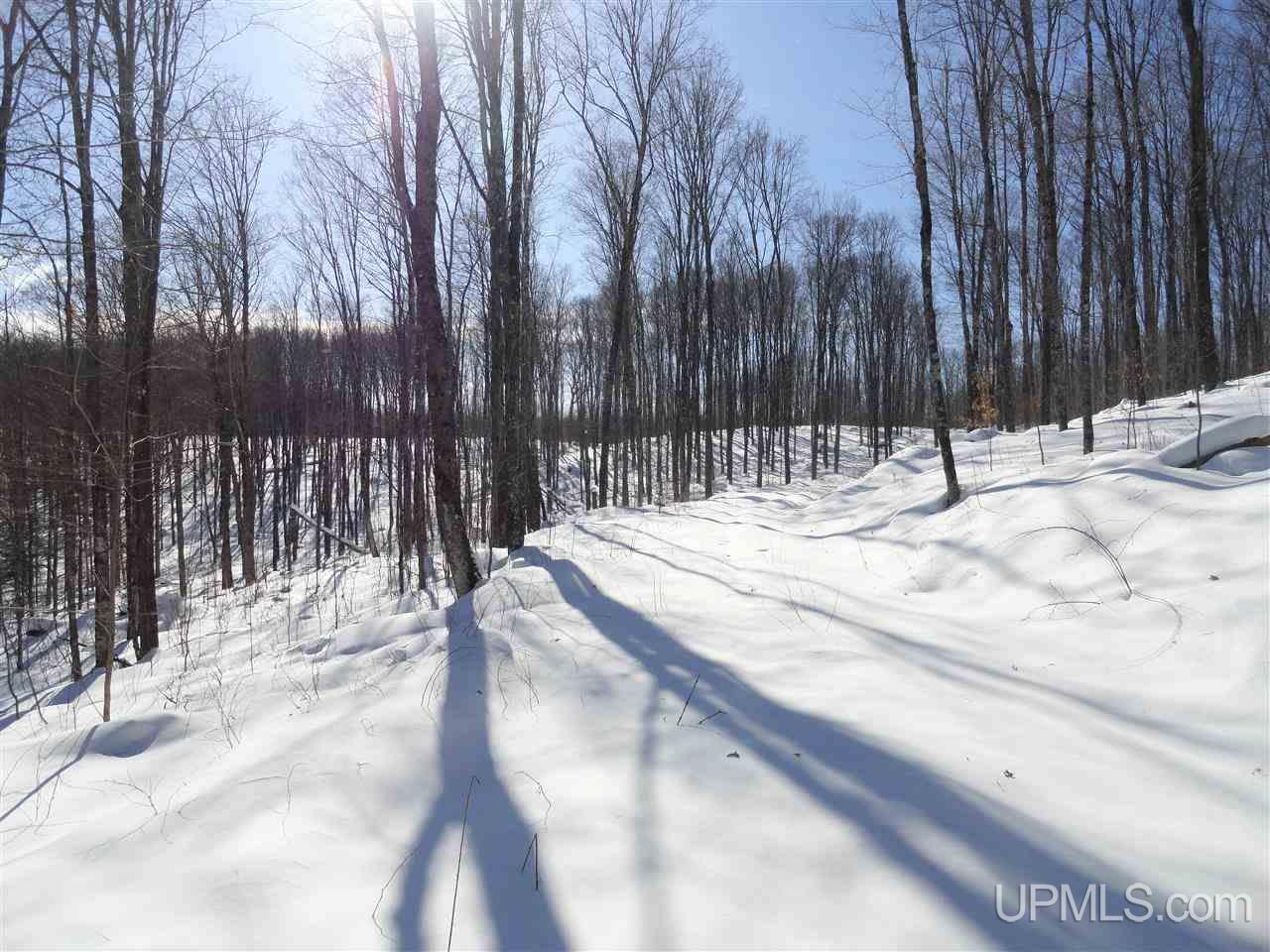 180-acres Lind Road Crystal Falls, MI 49920 - Photo 20 of 33 Gallery Image 20
