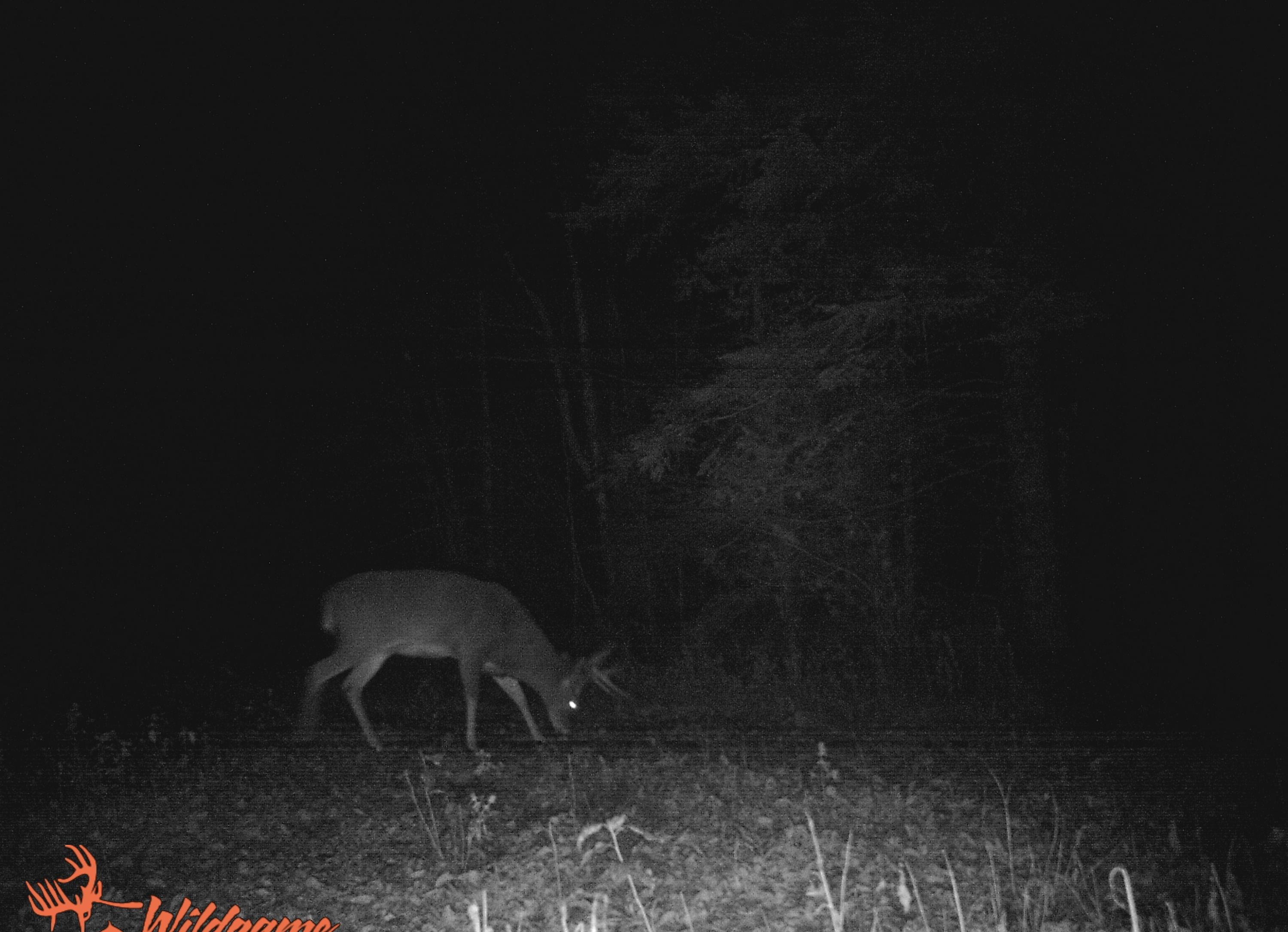 Map7-lot7 West Chapman Road Mapleton, ME 04757 - Photo 34 of 35 fullsizeoutput_e2