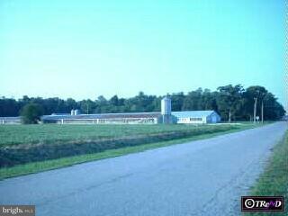 11600 Smith Road Ellendale, DE 19941 - Photo 5 of 5 Gallery Image 5