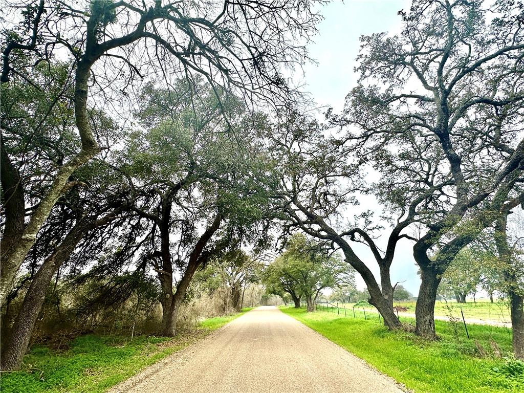 6-7 Cr 356 Road Gatesville, TX 76528 - Photo 13 of 14 a view of a yard with large trees