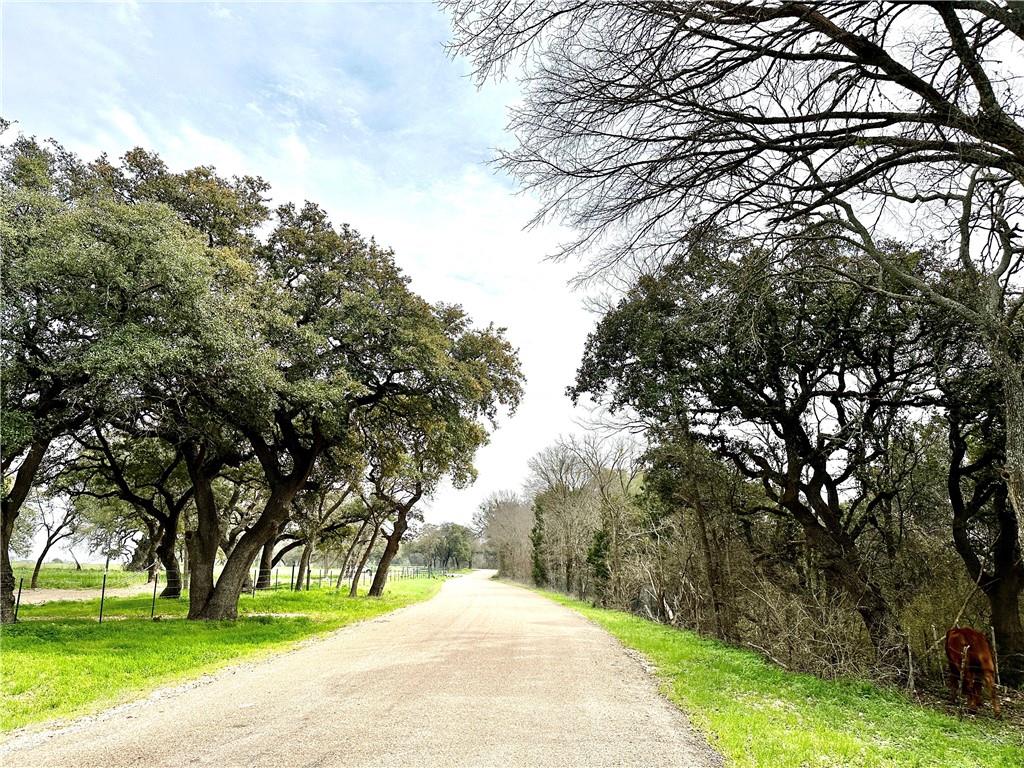 6-7 Cr 356 Road Gatesville, TX 76528 - Photo 14 of 14 a street view with large trees