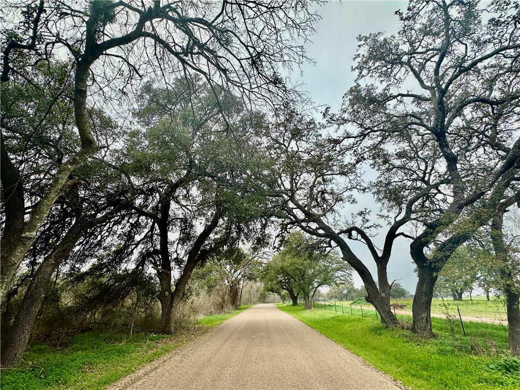 6-7 Cr 356 Road Gatesville, TX 76528 - Photo 7 of 14 a view of a park with large trees