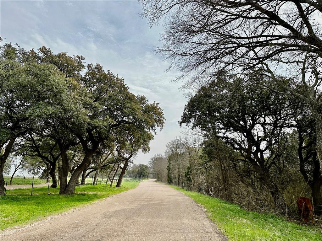 6-7 Cr 356 Road Gatesville, TX 76528 - Photo 8 of 14 a view of a yard with a tree