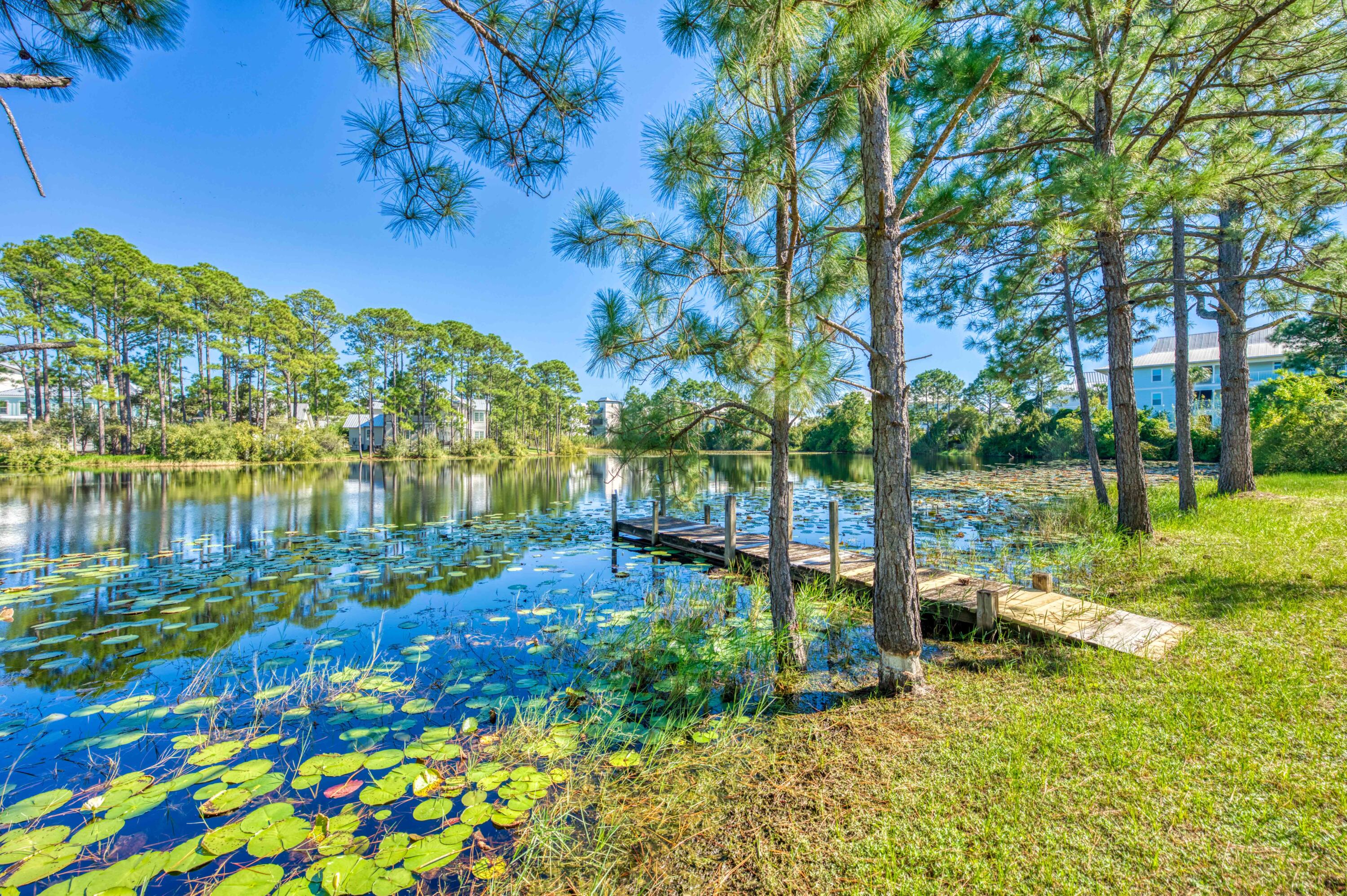 211 Lakeview Drive Santa Rosa Beach, FL 32459 - Photo 19 of 22 211 Lakeview Ground-4