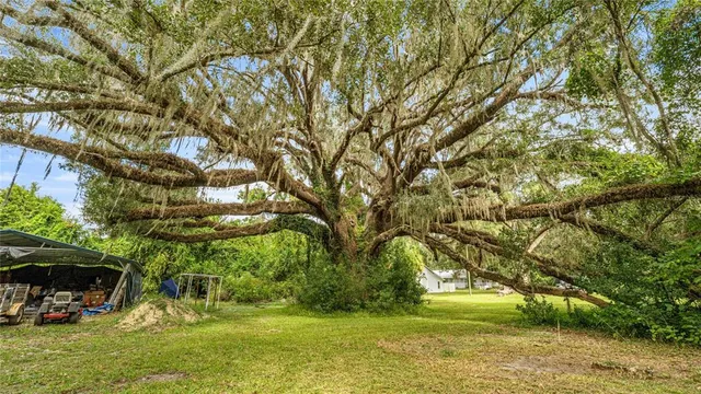 a view of a house with backyard