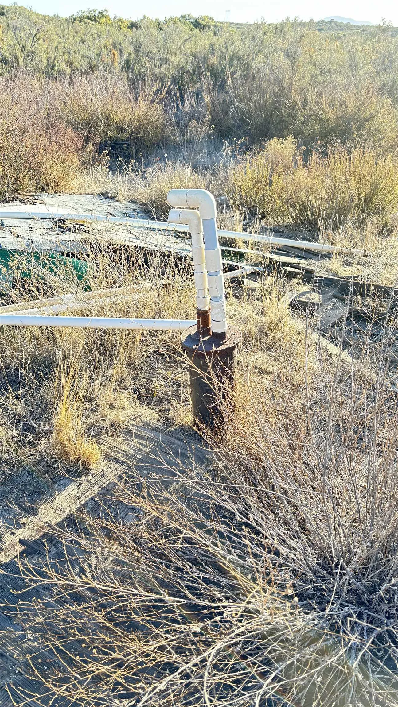 0 Forrest Gate Road Campo, CA 91906 - Photo 12 of 14 a view of lake