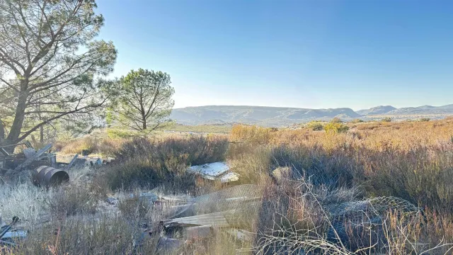 a view of a lake from a yard
