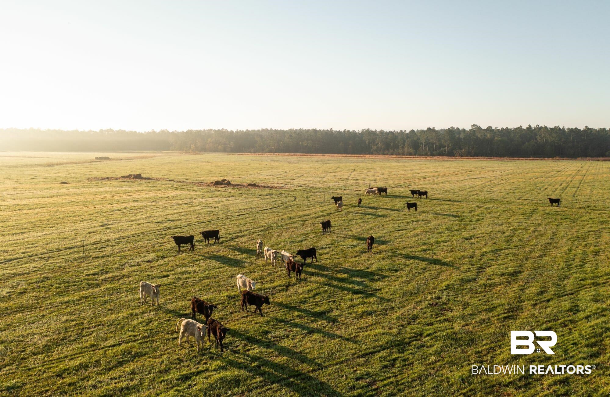 0 County Road 91 Elberta, AL 36530 - Photo 6 of 25 View of yard featuring a rural view