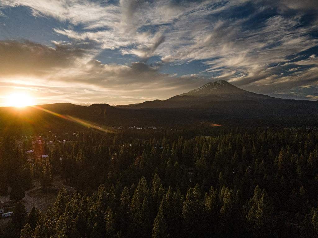 Lot A Timber Country Ranch Road McCloud, CA 96057 - Photo 14 of 18 Gallery Image 14