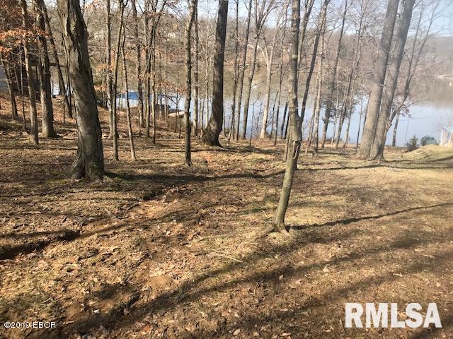 178 Parrish Ridge Lane Goreville, IL 62939 - Photo 1 of 4 Gallery Image 1