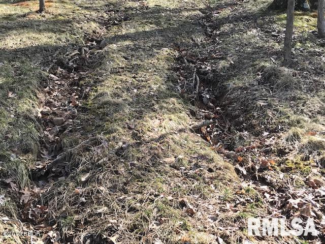 178 Parrish Ridge Lane Goreville, IL 62939 - Photo 3 of 4 Gallery Image 3