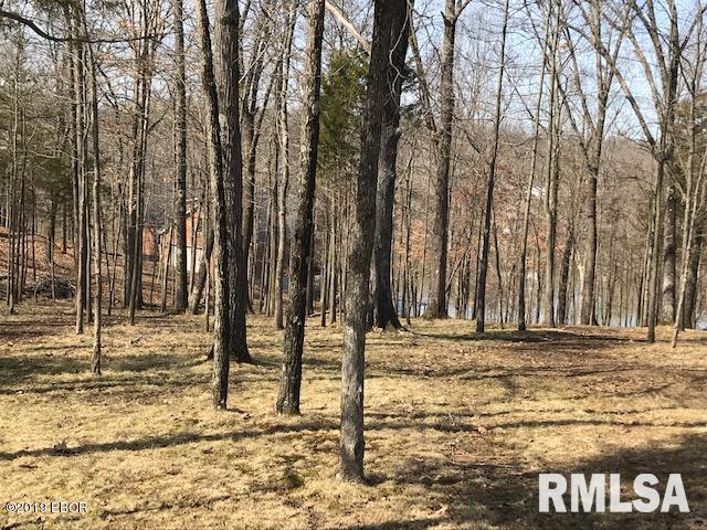 178 Parrish Ridge Lane Goreville, IL 62939 - Photo 4 of 4 Gallery Image 4
