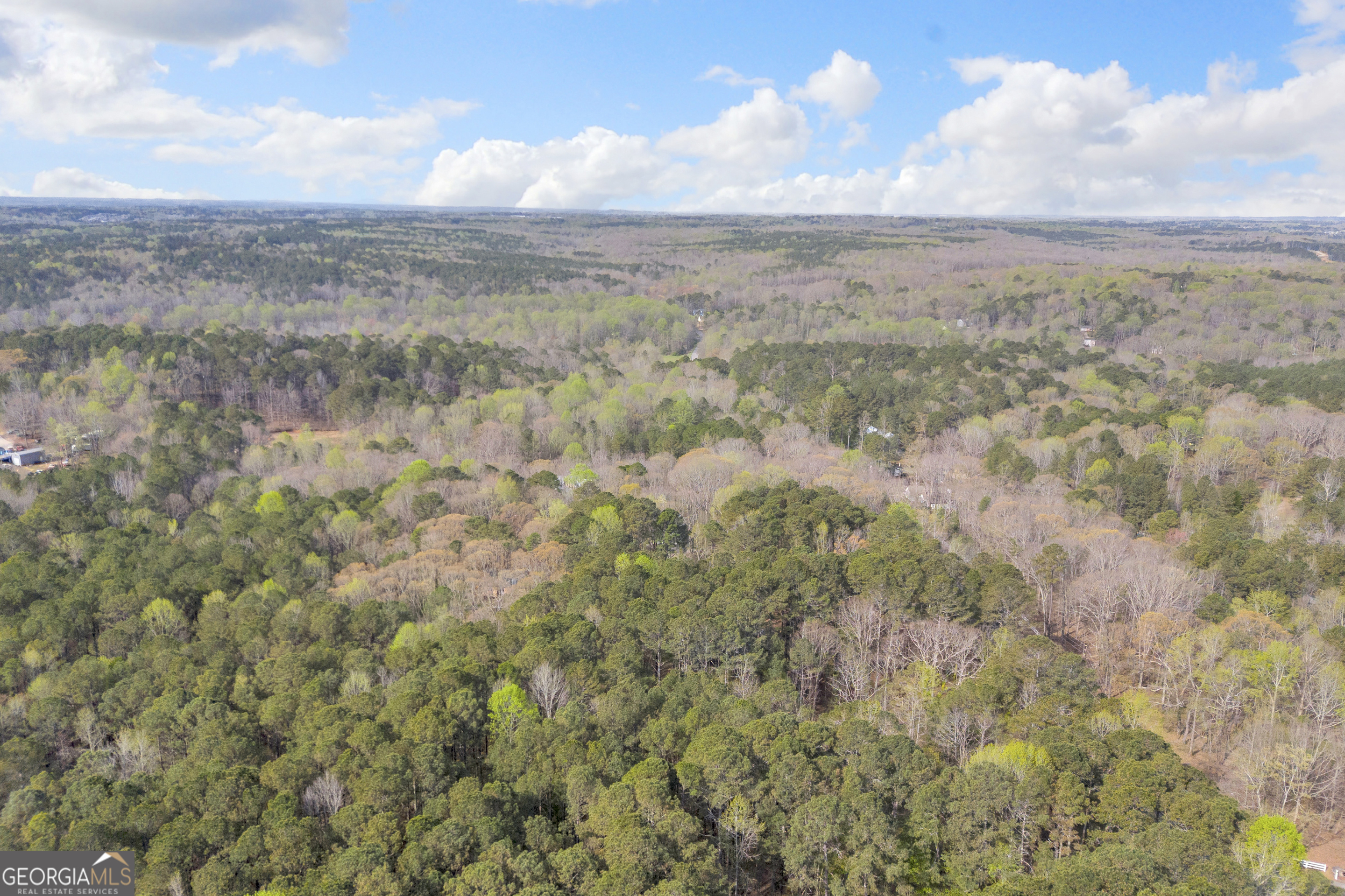 0 Brown Bridge Road Auburn, GA 30011 - Photo 3 of 7