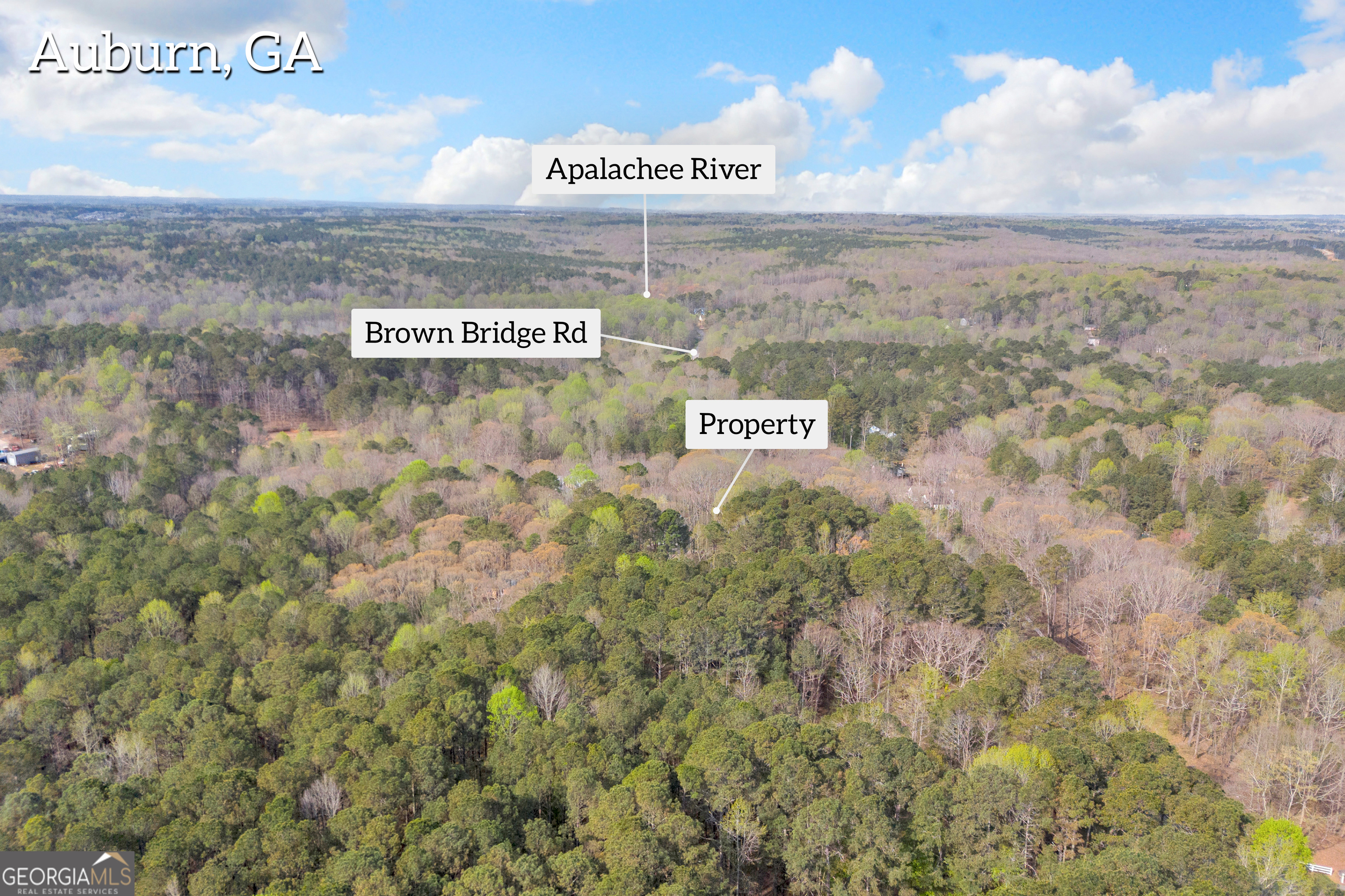 0 Brown Bridge Road Auburn, GA 30011 - Photo 4 of 7