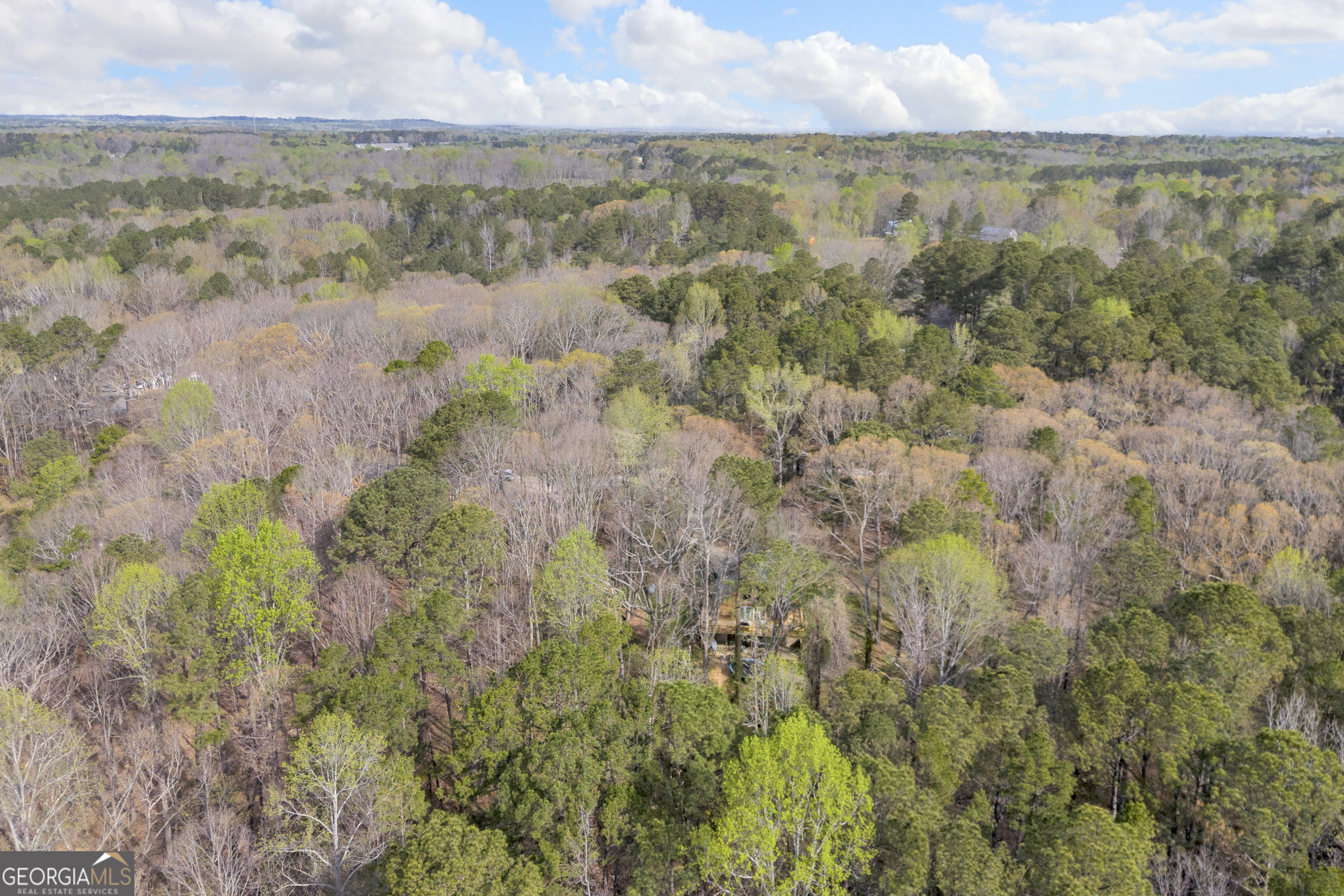 0 Brown Bridge Road Auburn, GA 30011 - Photo 6 of 7