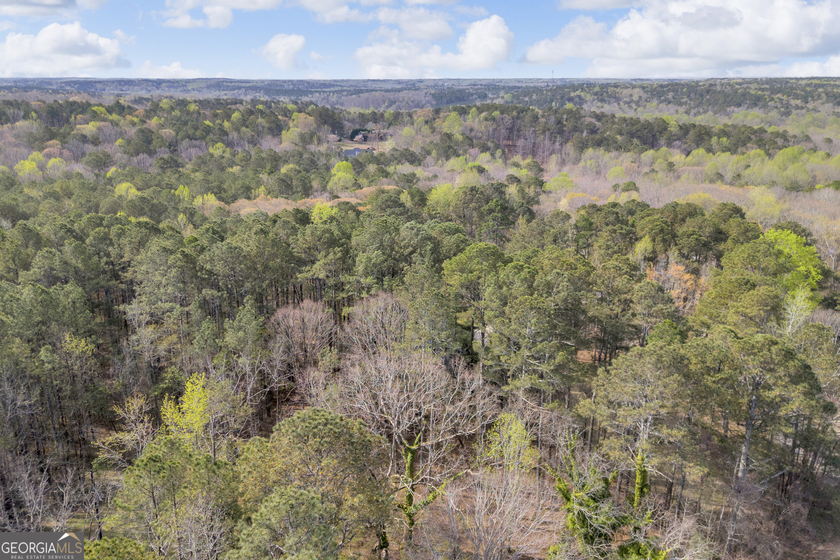 0 Brown Bridge Road Auburn, GA 30011 - Photo 7 of 7