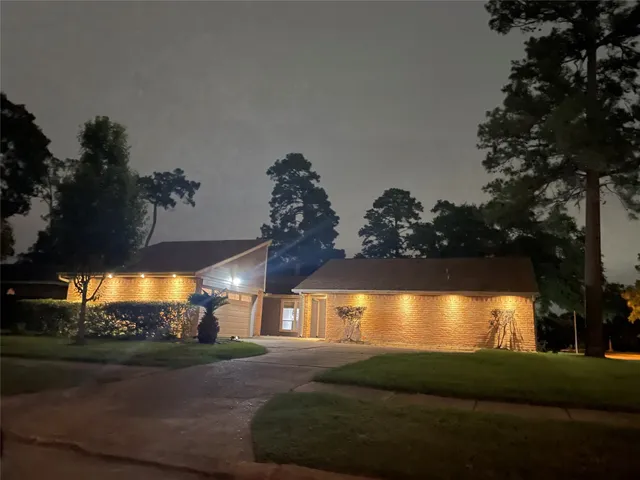 a view of a back yard