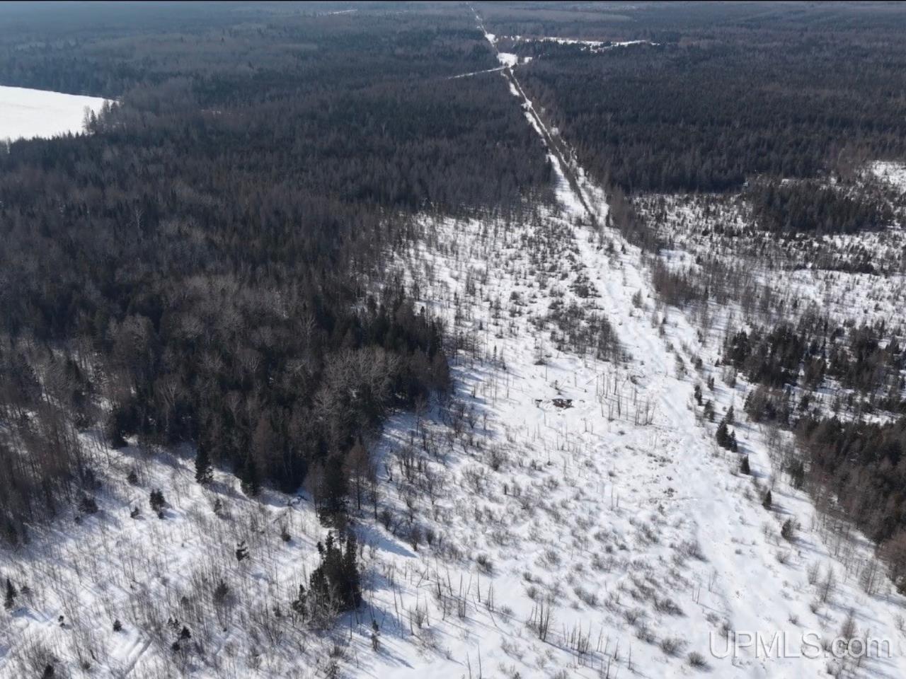 E 80-acres River Road Gulliver, MI 49840 - Photo 14 of 20