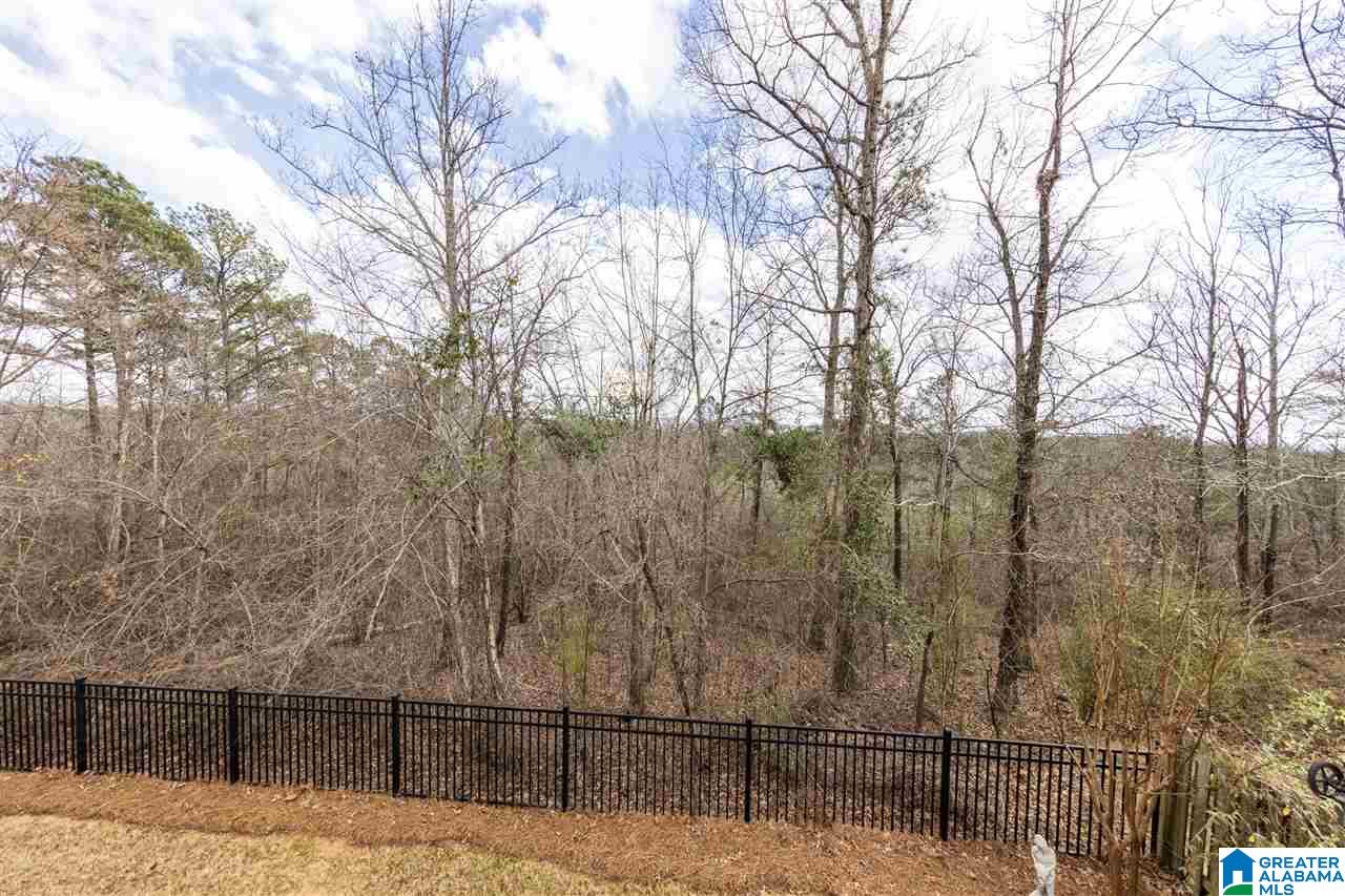 5616 Chestnut Trace Birmingham, AL 35244 - Photo 32 of 34