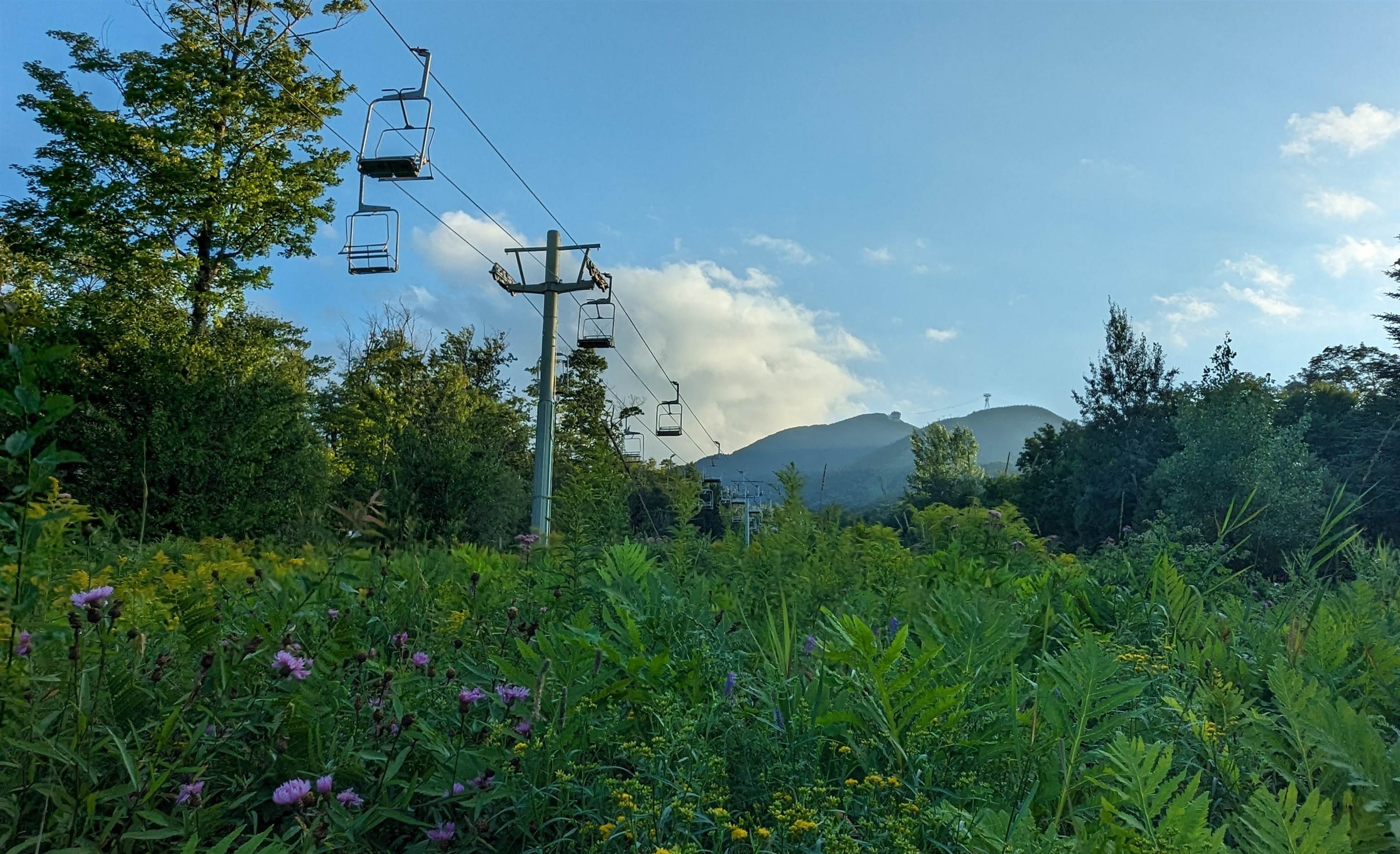 145 Bridge Road, Unit VC341 Jay, VT 05859 - Photo 25 of 27