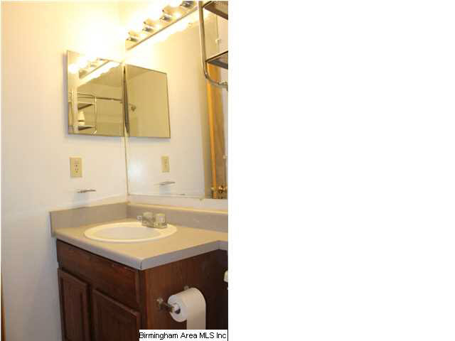 2649 Rabbit Branch Road Cropwell, AL 35054 - Photo 10 of 27