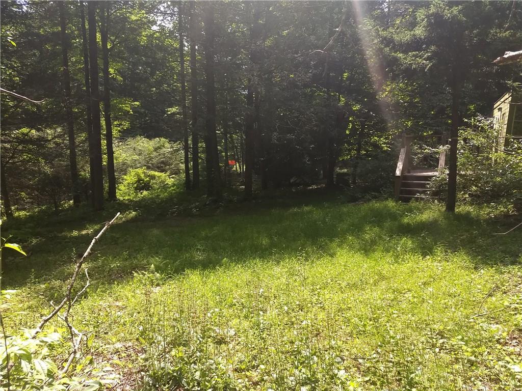 3728 Sampson Road Boone, NC 28607 - Photo 11 of 15 Gallery Image 11