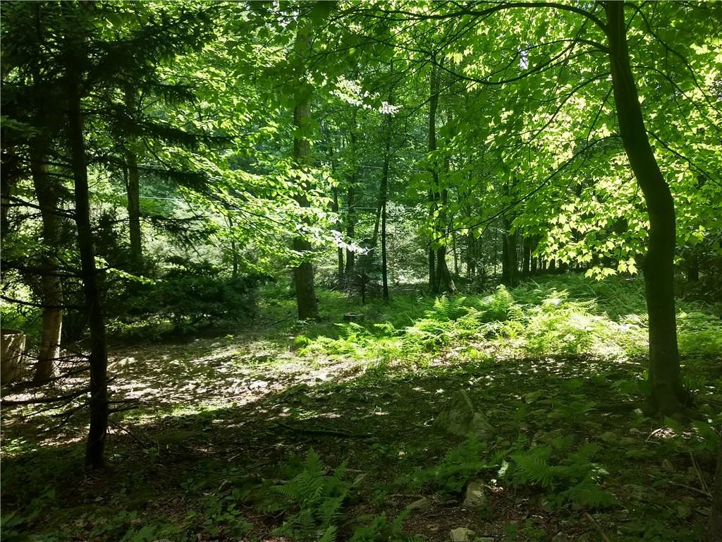3728 Sampson Road Boone, NC 28607 - Photo 12 of 15 Gallery Image 12