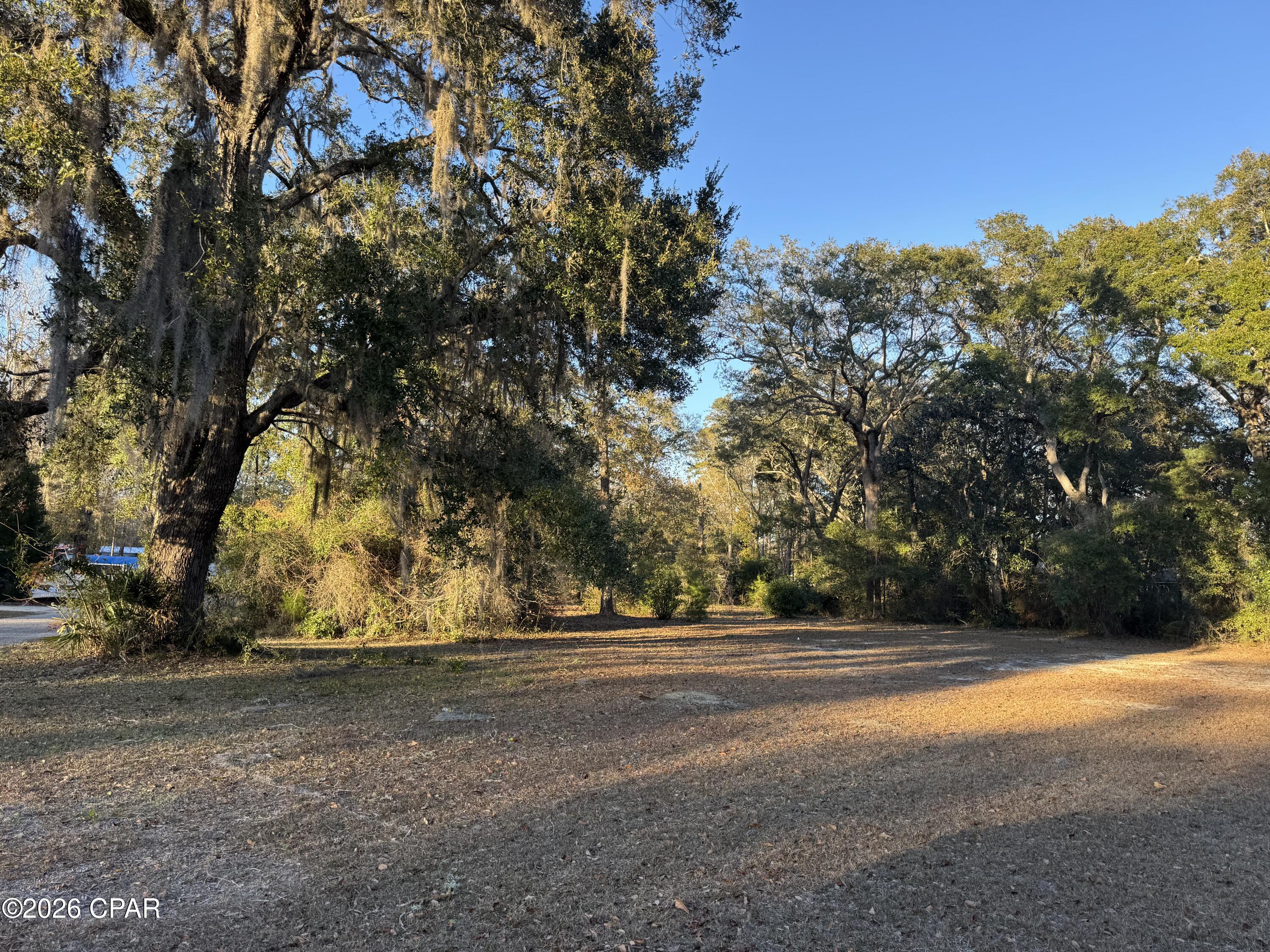 0 Canal Drive Vernon, FL 32462 - Photo 3 of 4