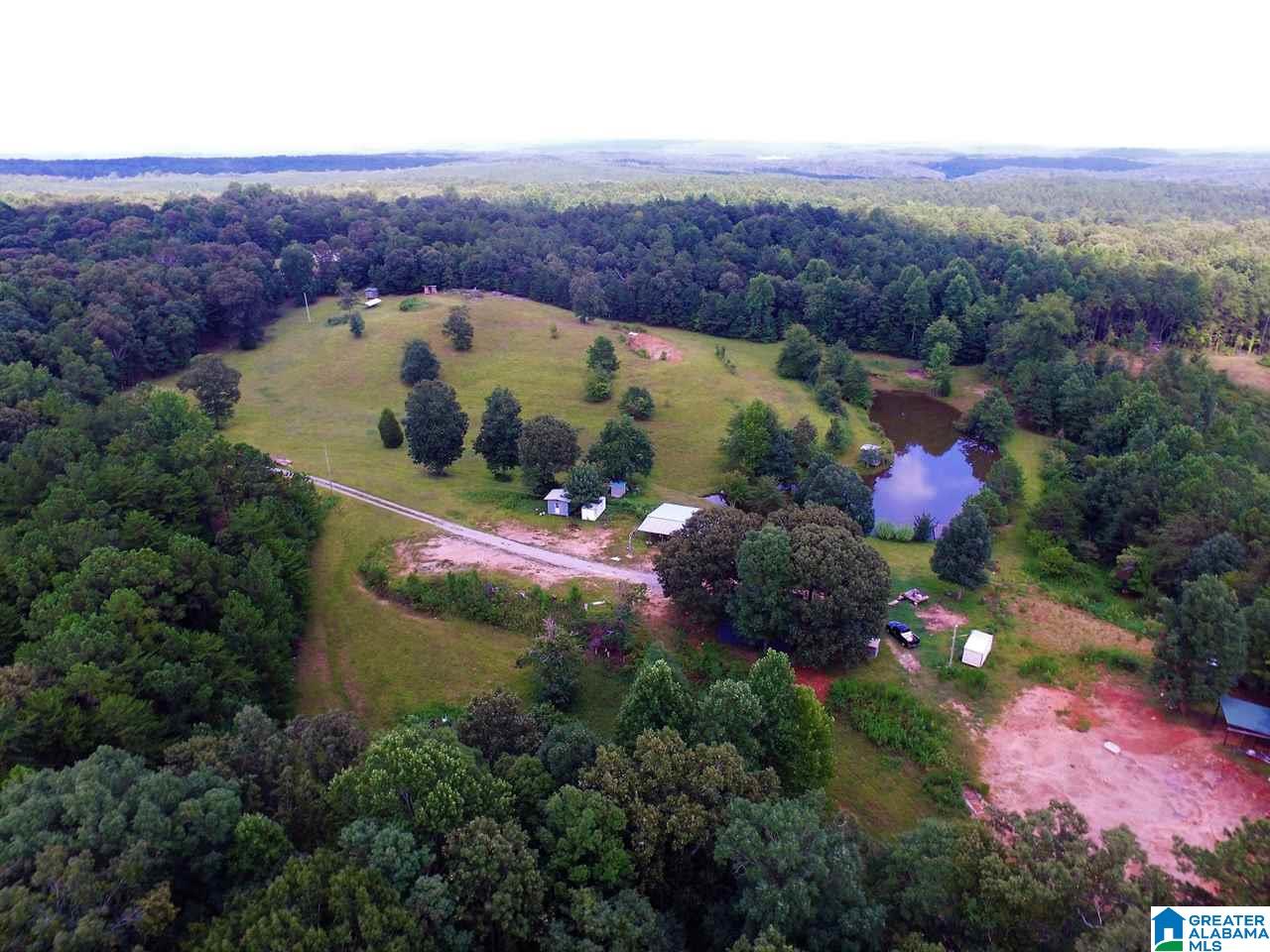 950 County Road 478, Unit 1 Clanton, AL 35046 - Photo 5 of 31