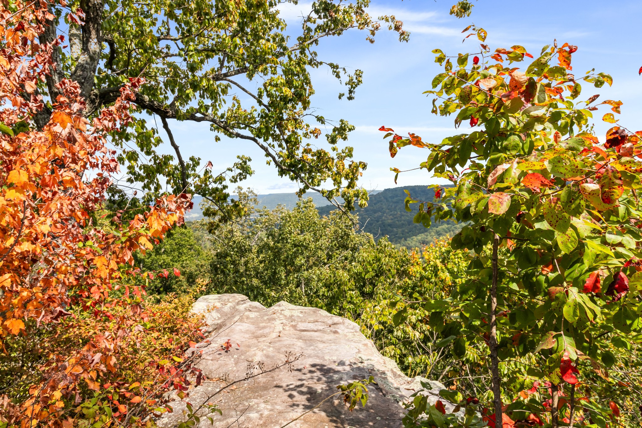 2661 Cooley's Rift Boulevard Pelham, TN 37366 - Photo 88 of 88 Gallery Image 88