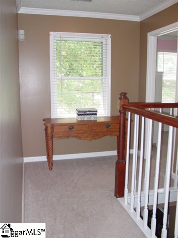 107 St Andrews Way Greenville, SC 29607 - Photo 11 of 20 Gallery Image 11