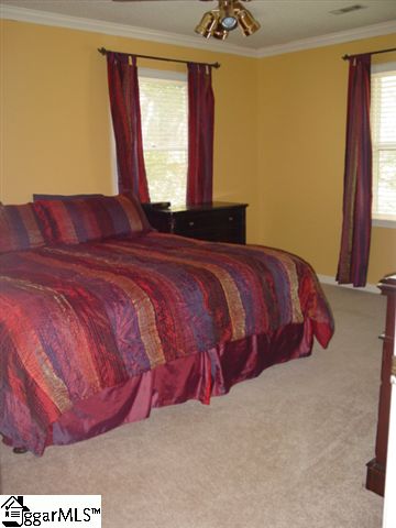107 St Andrews Way Greenville, SC 29607 - Photo 10 of 20 Gallery Image 10
