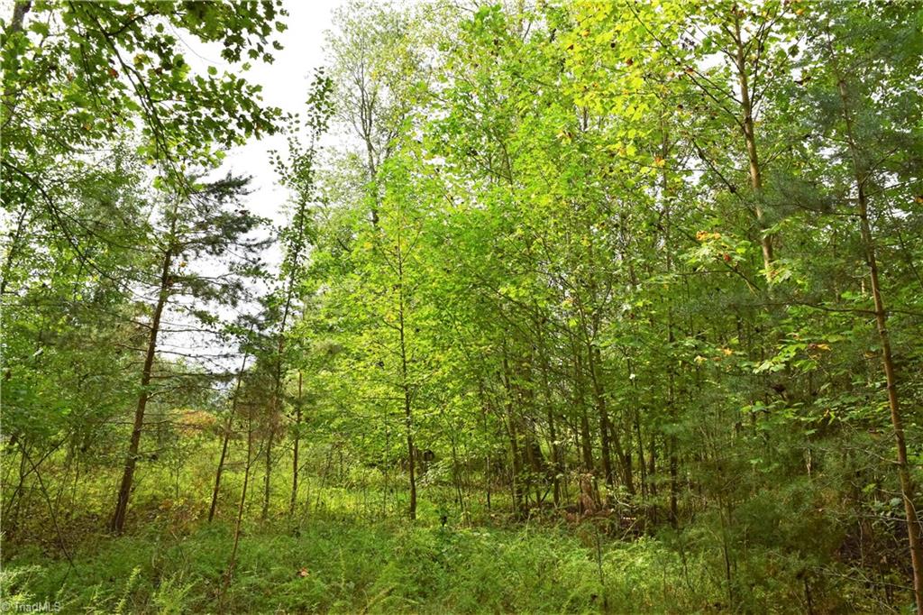 627 Gray-Wilson Road Colfax, NC 27235 - Photo 1 of 16 Gallery Image 1