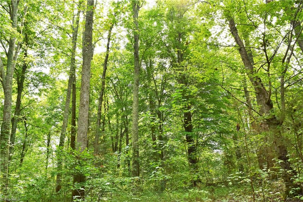 627 Gray-Wilson Road Colfax, NC 27235 - Photo 2 of 16 Gallery Image 2